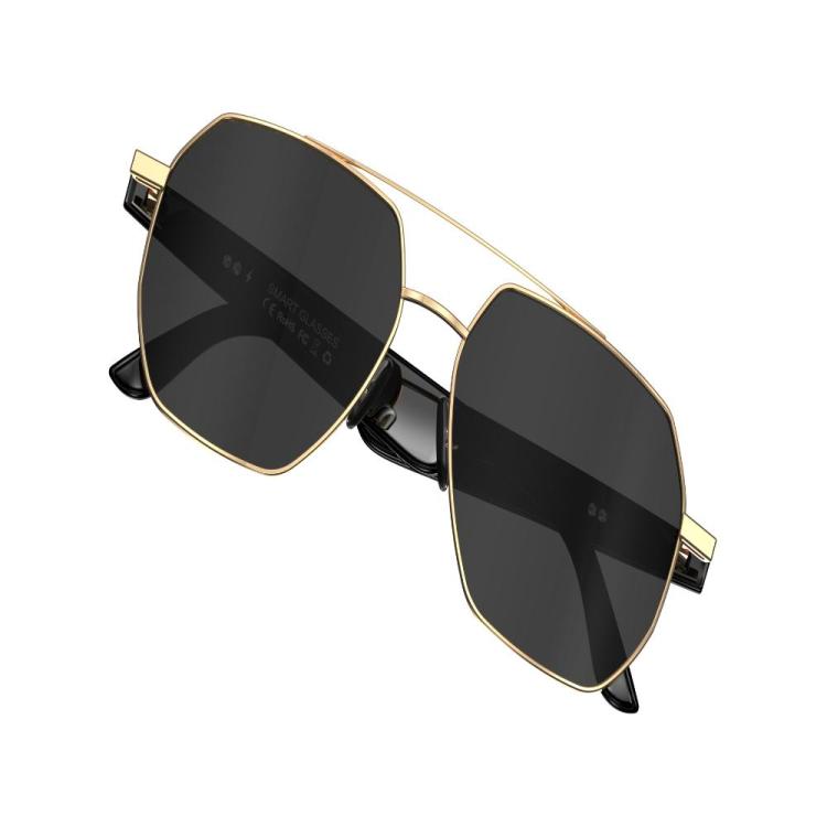 W100C Smart Glasses, Support AI Conversation / AI Intelligent Translation / Bluetooth Call